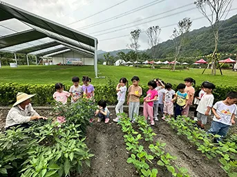 蒙特梭利幼兒園