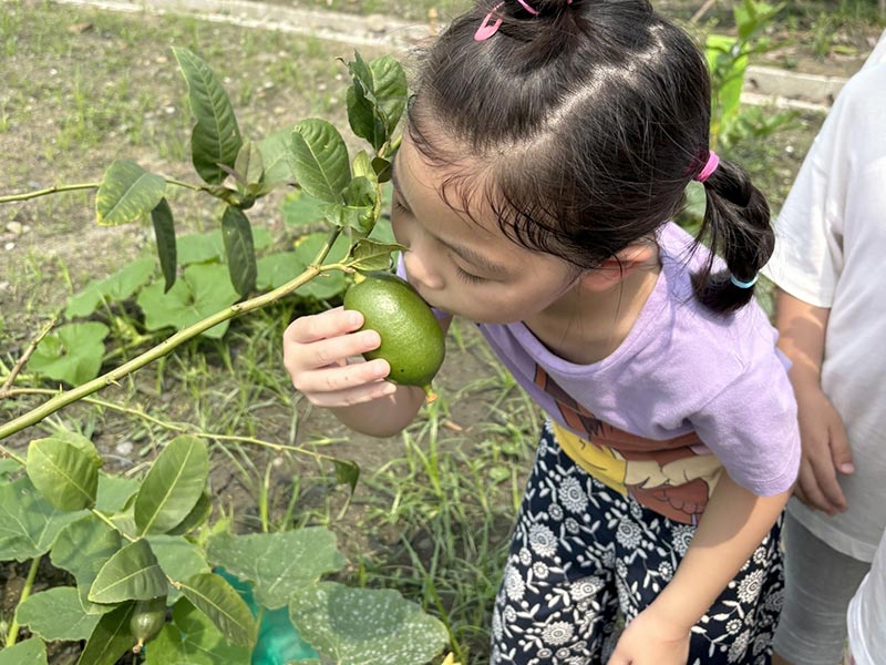 蒙特梭利幼兒園